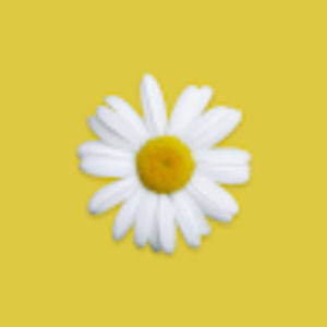 Meet your Posher, Serge